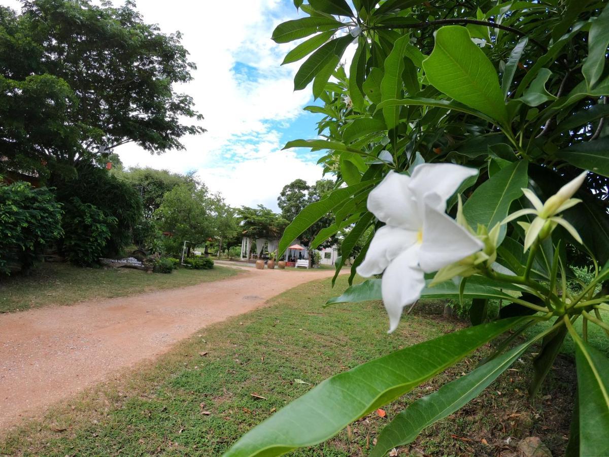 Naracha Resort Mueang Kao Экстерьер фото