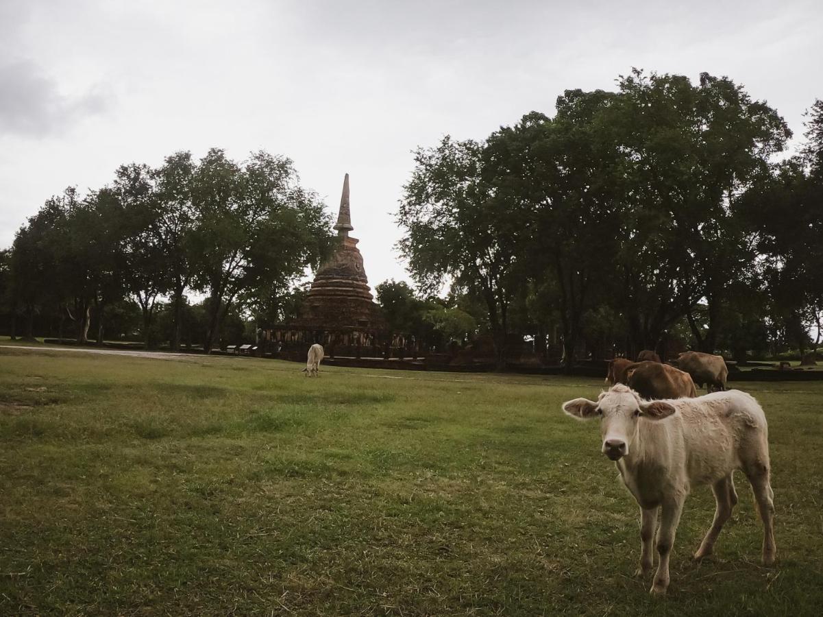 Naracha Resort Mueang Kao Экстерьер фото